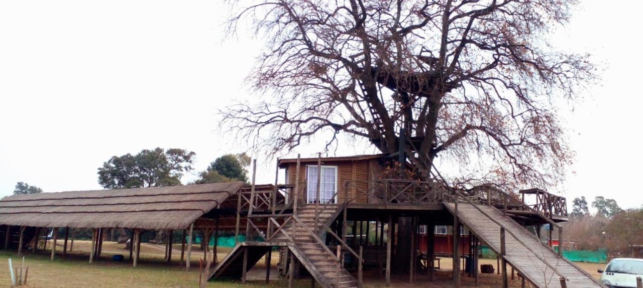 Tenda de luxo Glamping El Roble *